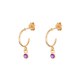 February Birthstone Hoop Earrings