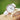 Ladies Handwriting Engraved Architēct Blanc Watch - White Strap