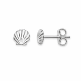 Sterling Silver Sea Shell Stud Earrings