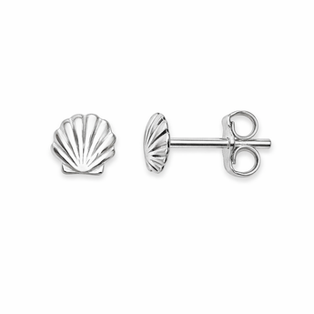Sterling Silver Sea Shell Stud Earrings