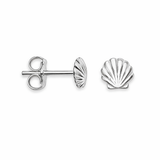 Sterling Silver Sea Shell Stud Earrings