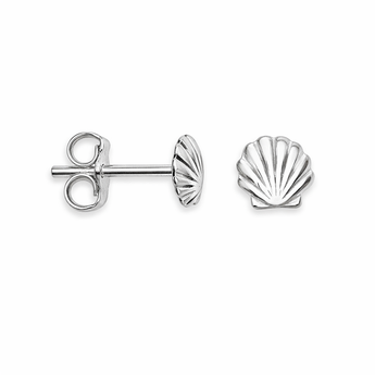 Sterling Silver Sea Shell Stud Earrings