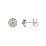 925 Sterling Silver Cubic Zirconia Stud Earrings Featuring a Brown Moonstone Cubic Zirconia Centre Stone Representing The June Birthstone