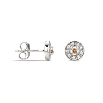 925 Sterling Silver Cubic Zirconia Stud Earrings Featuring a Brown Moonstone Cubic Zirconia Centre Stone Representing The June Birthstone