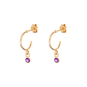 February Birthstone Hoop Earrings