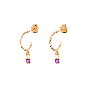February Birthstone Hoop Earrings