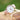 Ladies Modern Font Engraved Architect Blanc Watch - Light Pink Strap