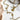 Amnesia Jewellery | Gold Plated Stainless Maldives Choker Necklace