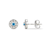 Sterling Silver December Cubic Zirconia Birthstone Stud Earrings