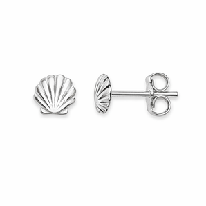 Sterling Silver Sea Shell Stud Earrings